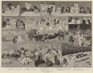 La fête de Noël des chatons